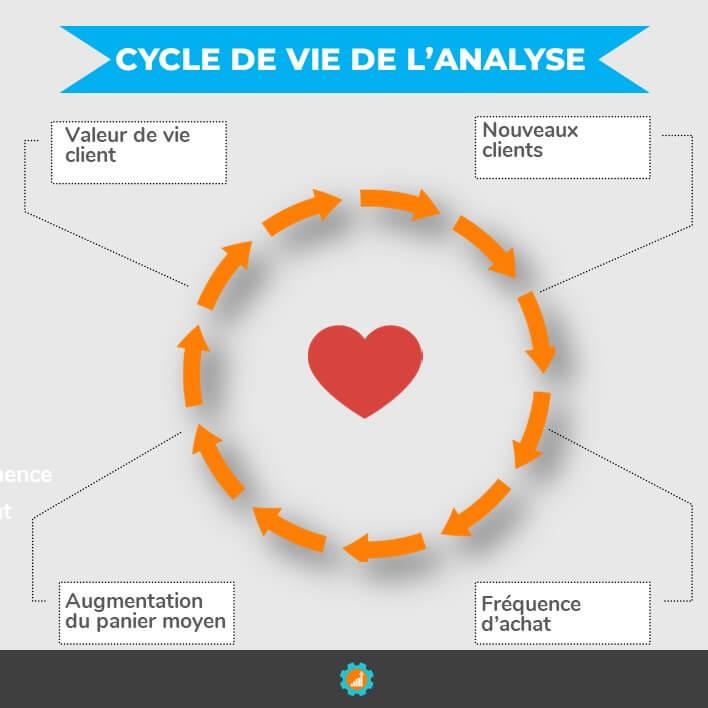 cycle de vie de lanalyse